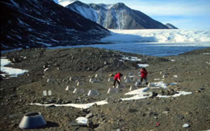 Soil Ecosystems