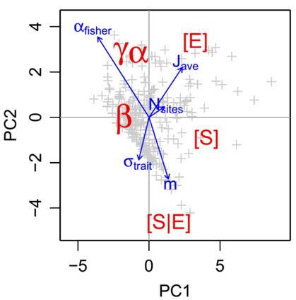 7-Metagenomics Diversity analysis