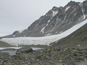 Suess Glacier suess glacier